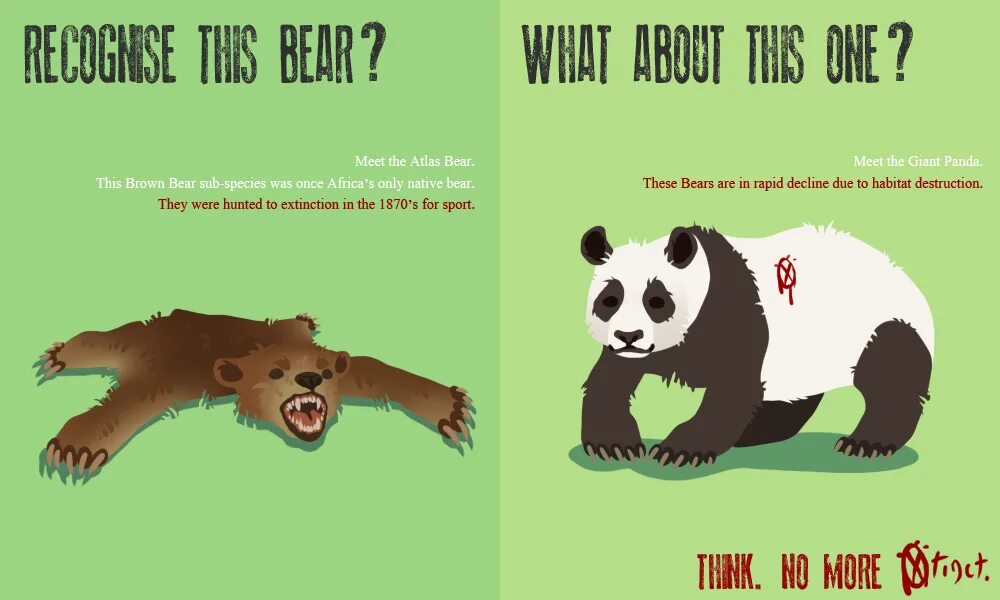 Release reduce adopt reusable endangered species. Endangered animals плакат. Социальный плакат животные. Atlas Bear. Save Pandas.