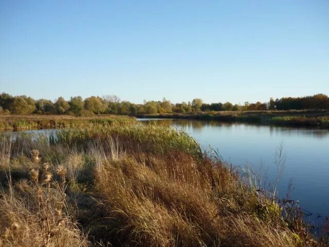 нижний новгород артемовский. артемовские луга кстовский район. артёмовские луга нижний новгород. генплан афонино. артёмовские луга нижний новгород.