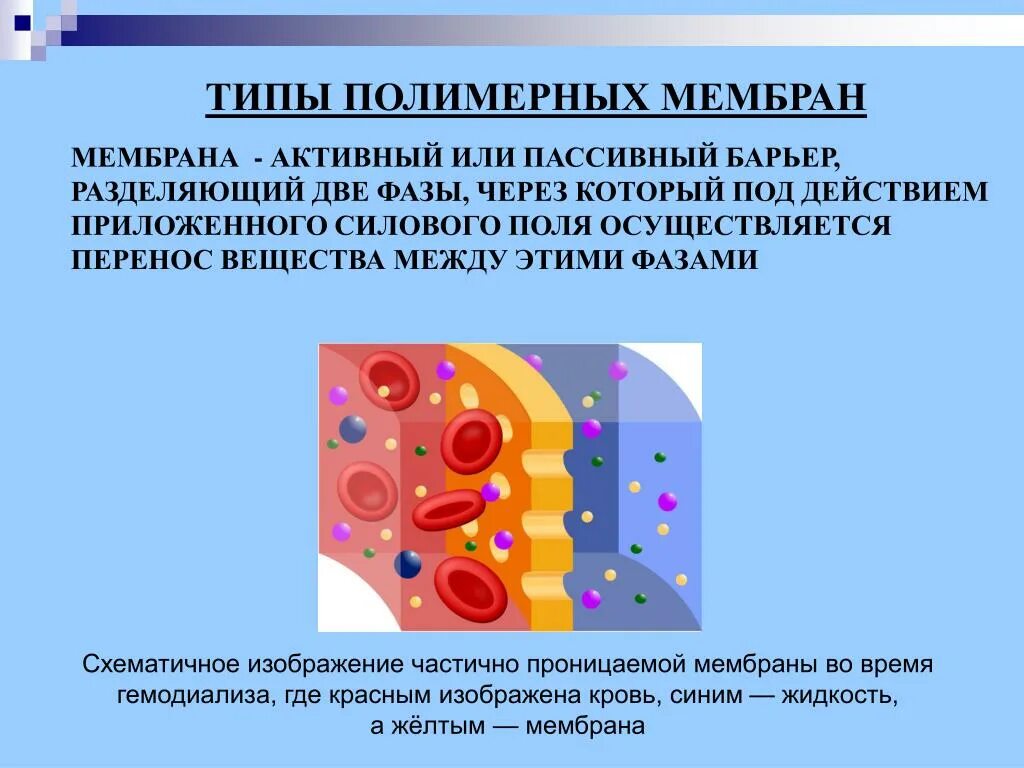 Полимер мембранных. Полимерные мембраны химия. 3 вида полимерных мембран. барьер деления. суспензии мембраны полимеры.
