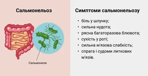 Сальмонеллез без симптомов