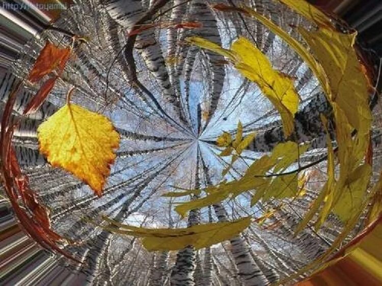 Ветер из осенних листьев. Кружение листьев осенних. листья кружатся. осенние листья кружатся. осенний вихрь.