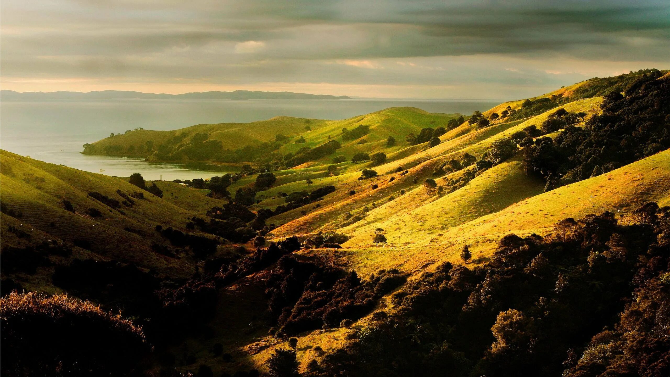 Холмы друг за другом. Молдова природа холмы. Холмы Такака, новая Зеландия. Новая Зеландия зеленые холмы. Холмистые равнины Великобритании.