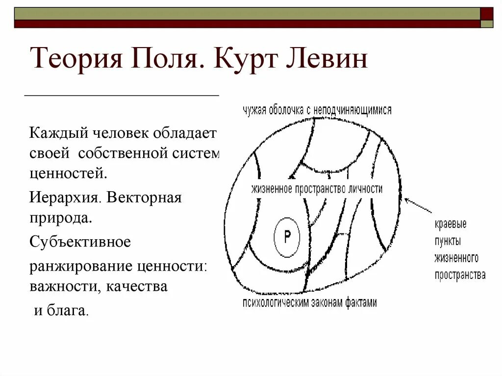 Теория поля Курта Левина. Теория поля Курта Левина концепция. Тееорияполя Курта Левина. Теория поля Курта Левина схема. Field theory