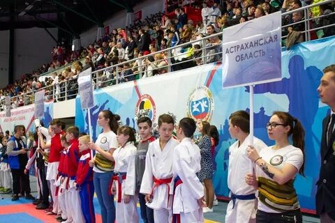 Кубок ак барс по каратэ
