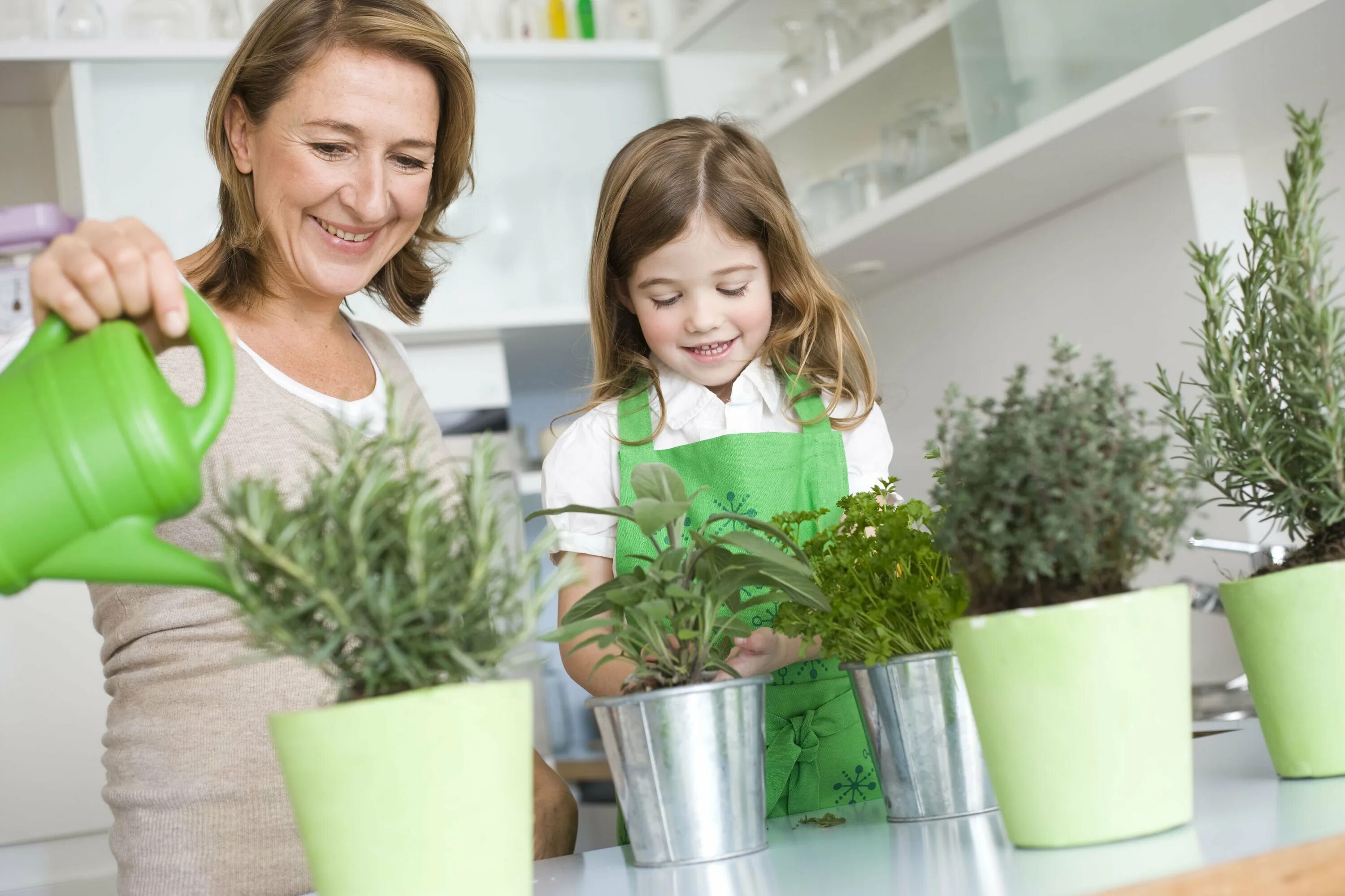 Комнатные растения уход и выращивание. Домашние растения для детей. Ухаживание за растениями. Выращиваем комнатные цветы. Дети с комнатными цветами.