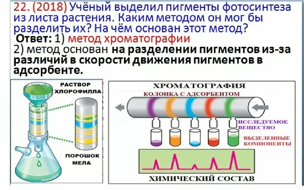 Какие методы исследования используются в проекте Наука и образование 6 КЛАСС Презентация