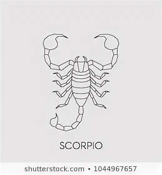 Скорпион 21 августа 2023. Скорпион эскиз. Скорпион геометрия. Тату геометрический Скорпион. Скорпион эскиз Минимализм.