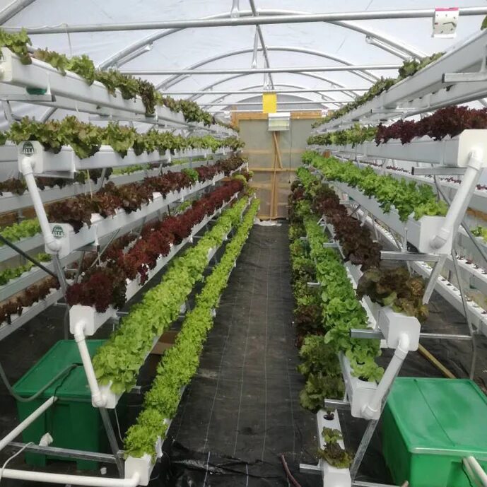 Столы для теплиц. Оборудование для теплиц для выращивания. Modern greenhouse гидропоника. Оборудование для теплиц для выращивания. Оборудование для теплиц для выращивания.
