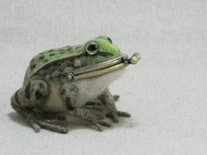 Мастер лягушек