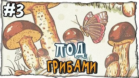 Грибы прикол видео