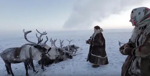 Ненцы европейского севера