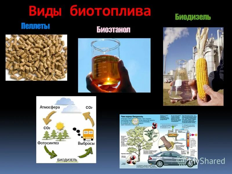 Жидкое биотопливо биодизель. Биотопливо 2 поколения. Из чего состоит биотопливо второго поколения. Примеры использования биотоплива. Использование биотоплива