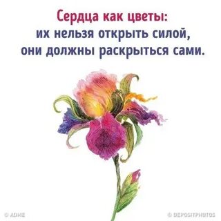Цитаты фото цветов