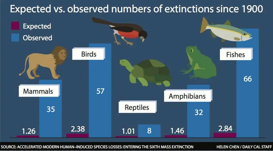 Causes of overpopulation. Biodiversity problems. Mammals and birds. Loss of biodiversity. Loss of wildlife and biodiversity.