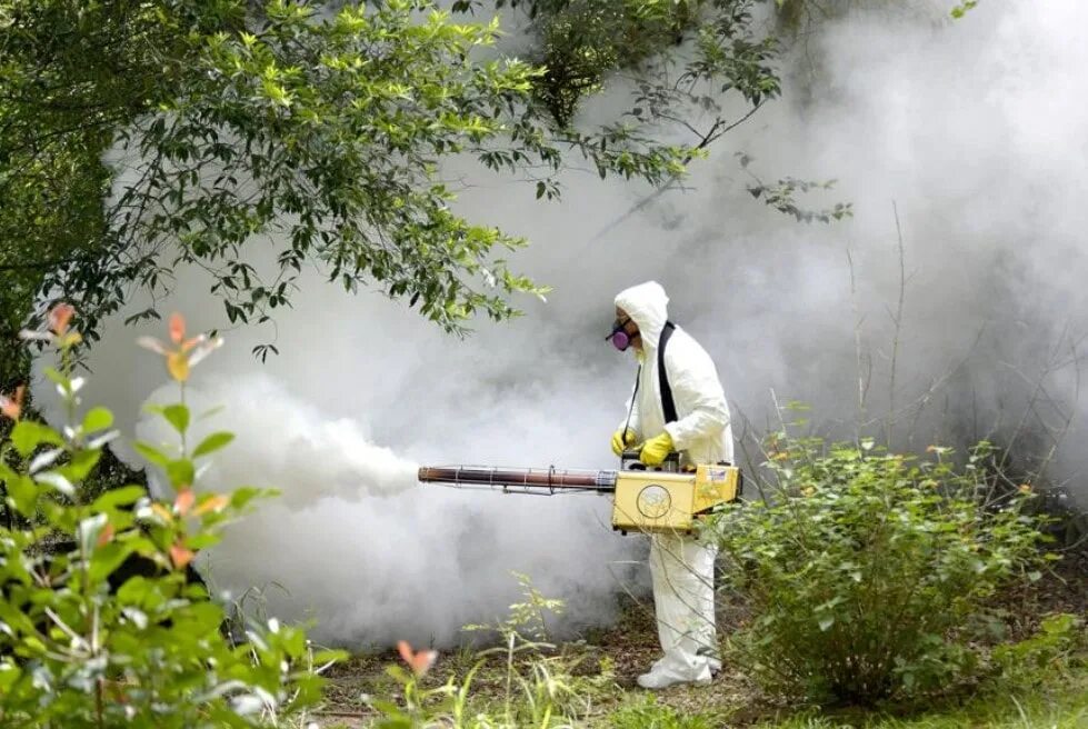 Обработка против. Обработка против. Противоклещевая обработка. Опрыскивание плодовых деревьев. Акарицидная обработка.