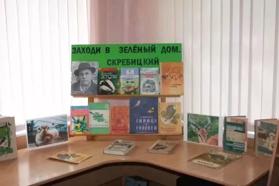 Заходи в зеленый дом выставка. Оформление окон в библиотеке. Заходите на выставку. Заходи в зеленый дом выставка в библиотеке. Выставка ко дню земли.