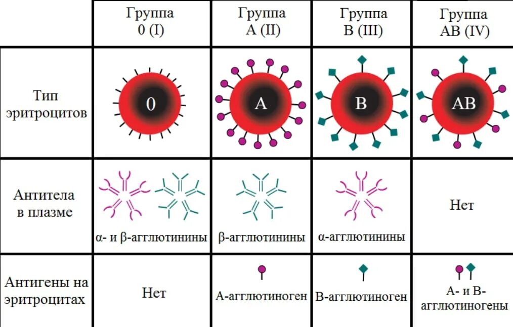 Группа крови телефон