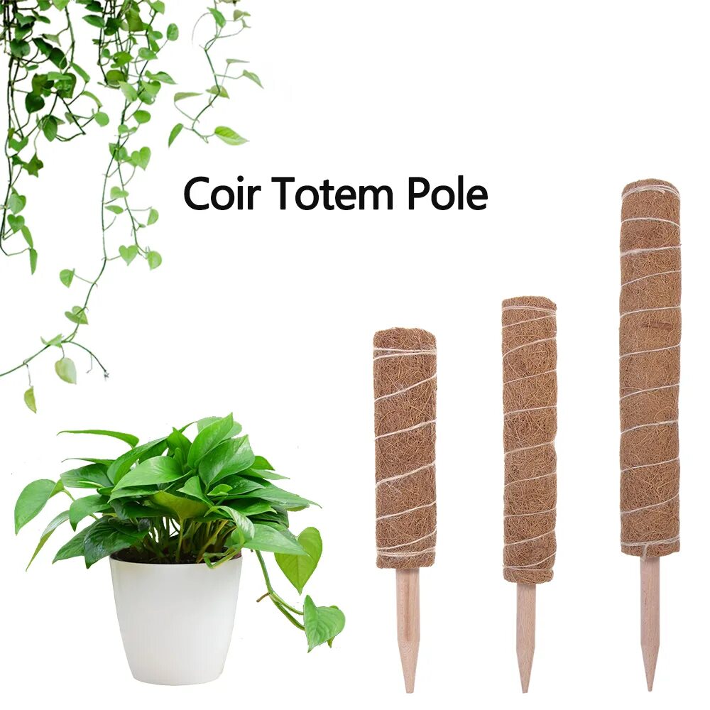 тотем для цветов. монстера сильтипикана. опора для монстеры. тотем для цветов. тотем для цветов.