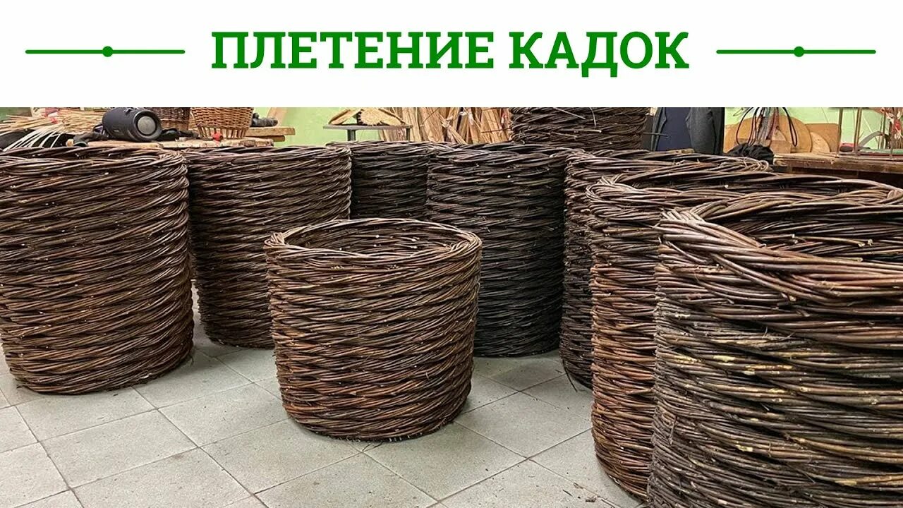 Кадушка из ротанга мастер класс. Кадка плетеная. кадушка из ротанга. лоза черноземья плетение мордушки. большие плетеные кадки утепленны для растений.