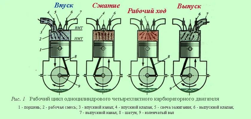 Рабочий цикл 4-х тактного карбюраторного двигателя. Схема работы четырехтактного двигателя внутреннего сгорания. Рабочий цикл четырехтактного карбюраторного двигателя схема. Схема работы четырехтактного цилиндра двигателя.