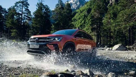 Автология