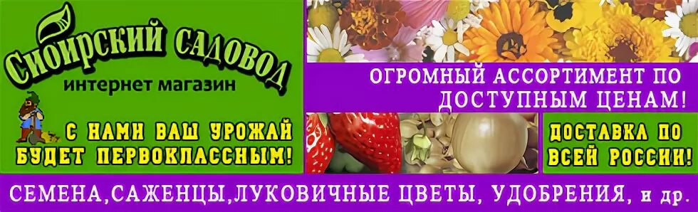 Сайт семян сибирский сад. Магазин семян Сибирский Садовод. Семена для Сибири Красноярск. Семена для Сибири Красноярск каталог семян. Семена Сибири в Красноярске интернет магазин.