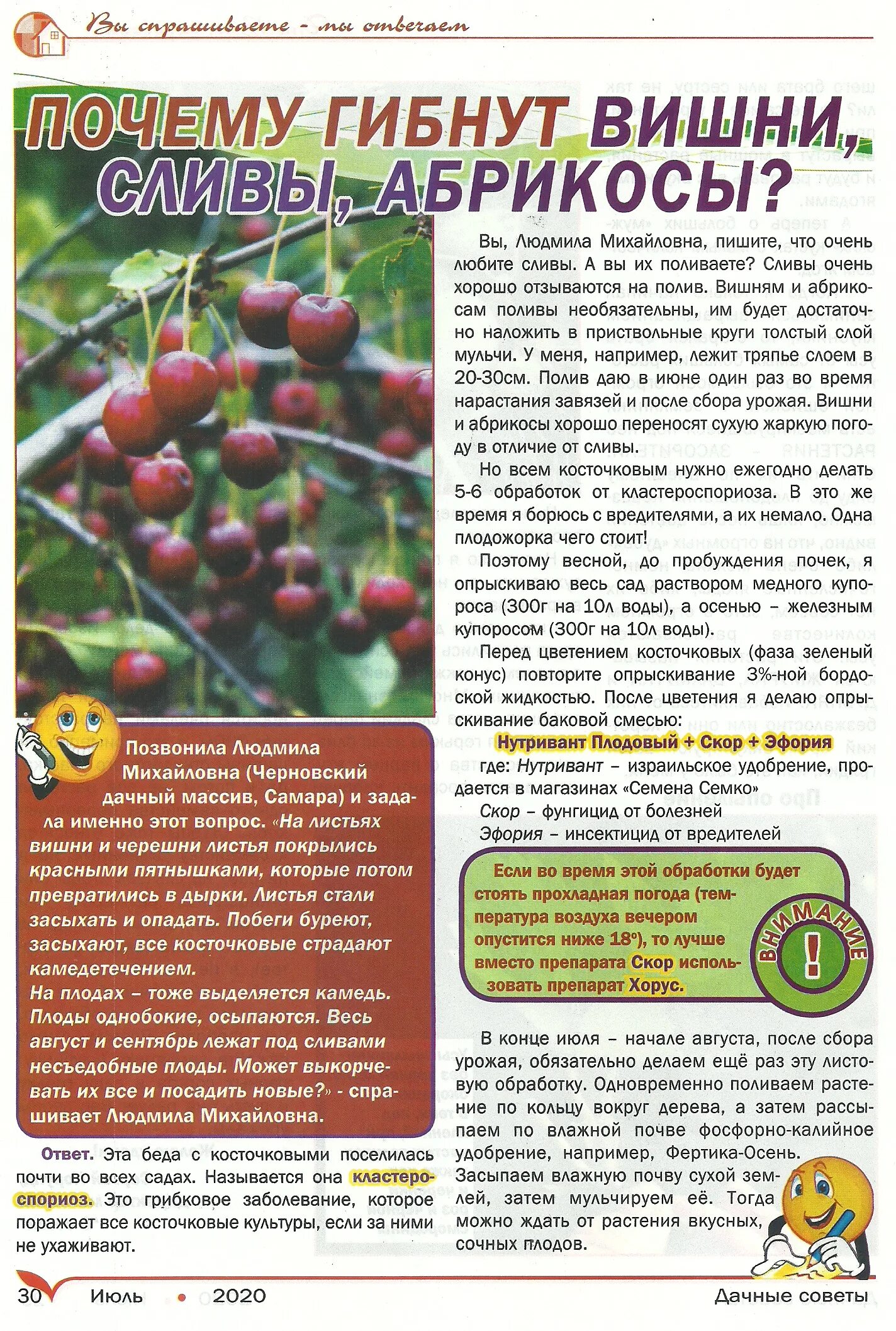 Дачные советы с галиной старосельцевой. Старосельцева дачные советы. Старосельцева дачные советы. Старосельцева дачные советы. Дачные советы.