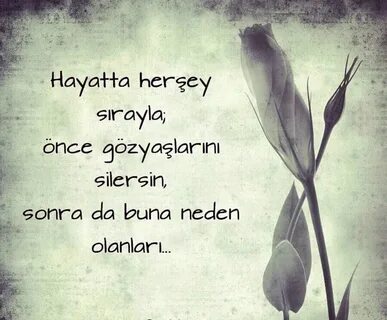 Sen ol