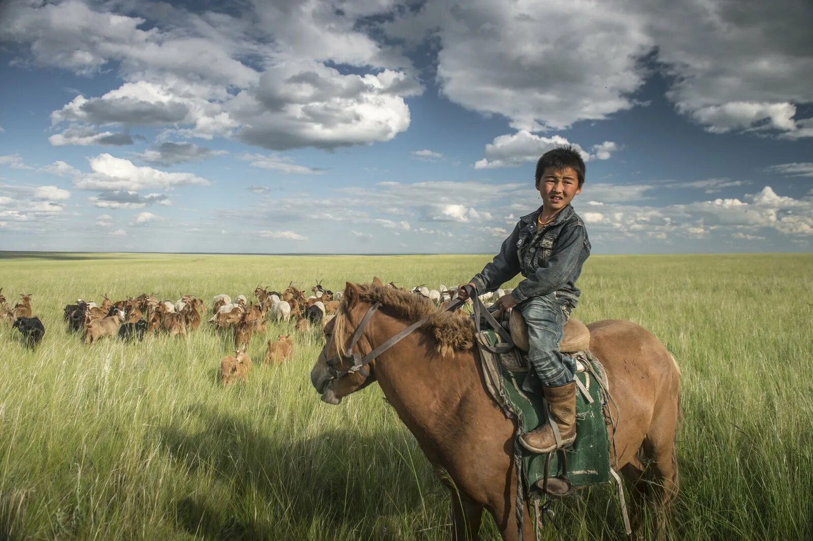 Люди живущие в степи. Степной Кочевник. Кочевники в степи. Степи и человек. Монгольская степь.