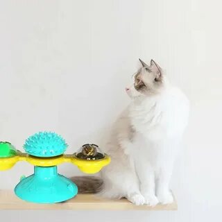 Мельница кошка