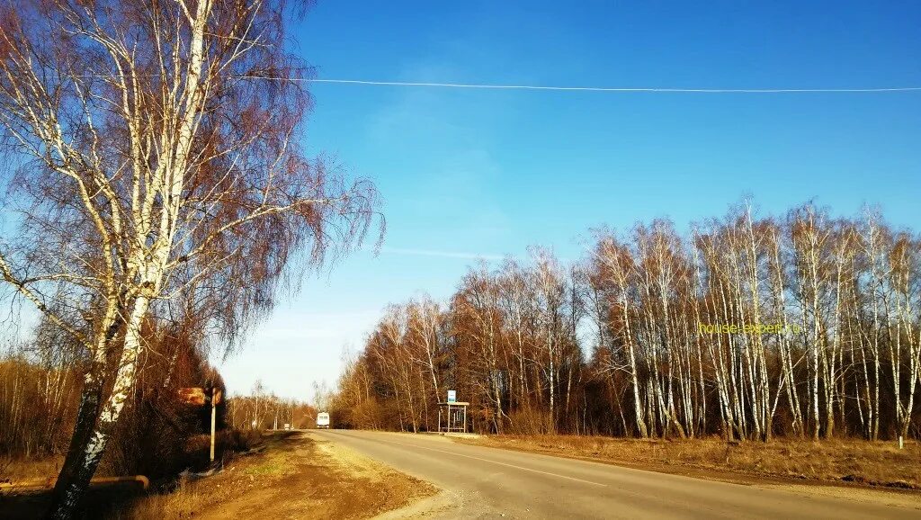 Поселок Бутиково Заокского района Тульской области. Заокский Тульская область зима. Калединовка. Село Яковлево Тульская область.