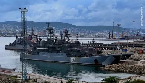 Новороссийская военно морская