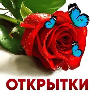Телефон на все случаи жизни