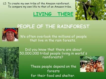Lives in the forest