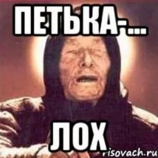 Как выглядит сука