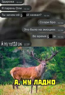 Ладно что было то было