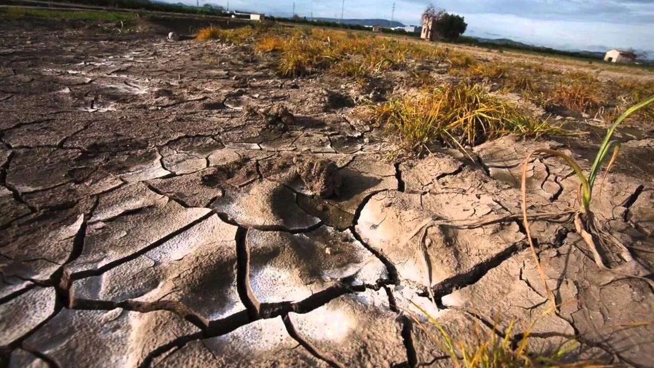 Антропогенные изменения природного ландшафта. Эрозия почвы и опустынивание степей. Эрозия почвы. Разрушение почвы. Выветривание почвы.