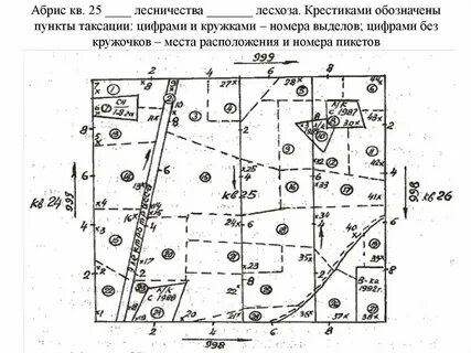 Площадь лесосеки