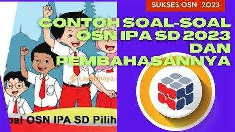 Bocil sd 2024