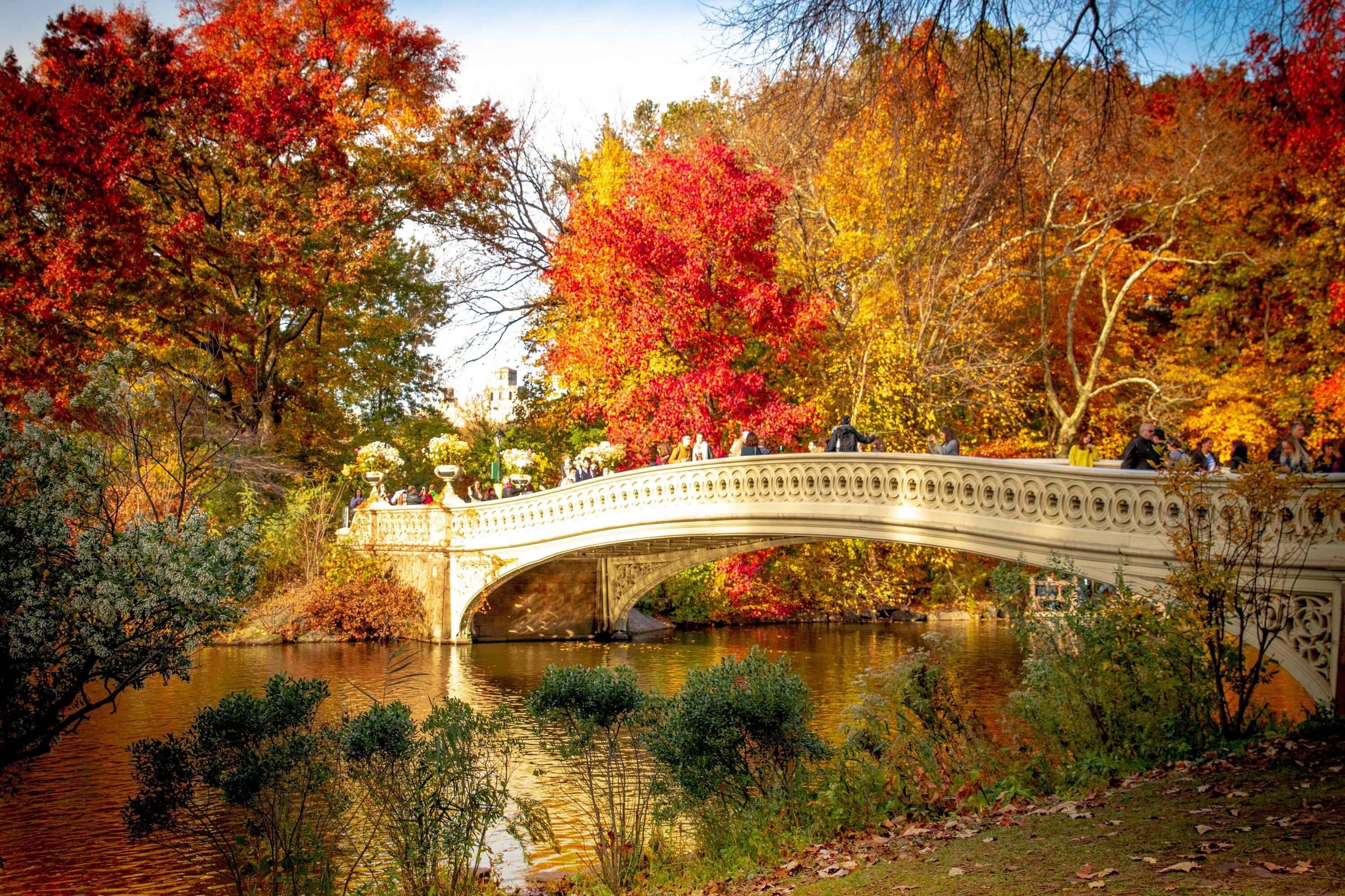 Центральный парк Нью-Йорк мостик. Центральный парк Нью-Йорке осень листопад. Парк на мосту в Нью Йорке. Красивая осень.