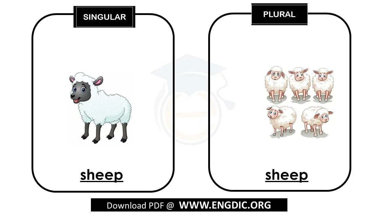 Plural nouns sheep. Plural nouns sheep. Singular and plural sheep. Plural nouns исключения. Sheep plural.