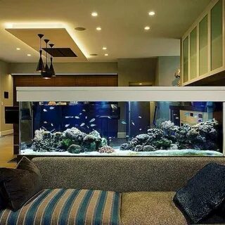 Aqua home