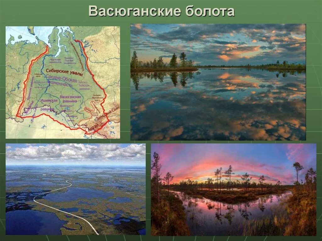 Болота Западно сибирской равнины. Васюганские болота заповедник. Васюганские болота, Западная Сибирь. Васюганское болото космоснимок.