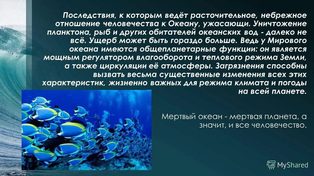 Мировой океан презентация. Организмы в морях и океанах. Презентация на тему мировой океан. Защита мирового океана. В состав планктона входят