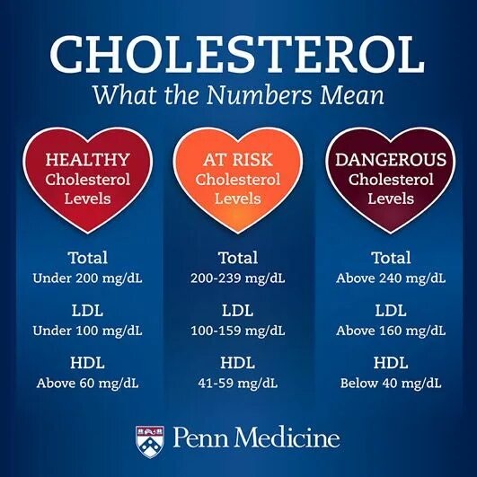 Cholesterol levels. Cholesterol level. what is the acceptable risk?.