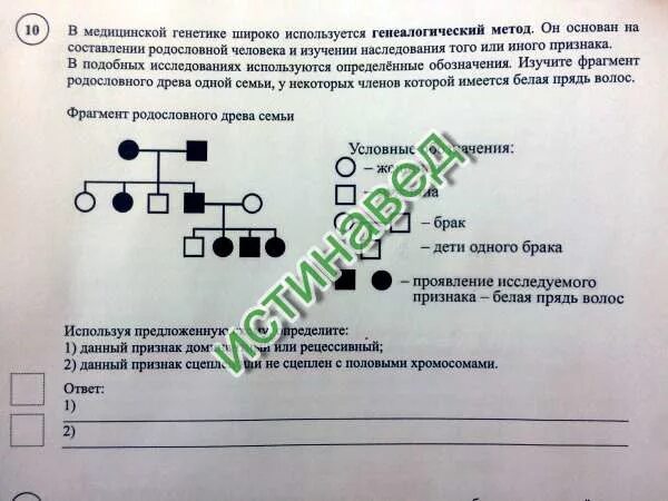 Определите доминантным или рецессивным является данный признак