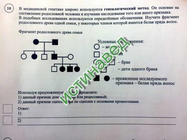 Фрагмент родословного древа семьи впр. В медицинской генетике широко используется генеалогический. В медицинской генетике используется генеалогический метод. В медицинской генетике широко используется генеалогический метод он. Методы медицинской генетики составление родословной.