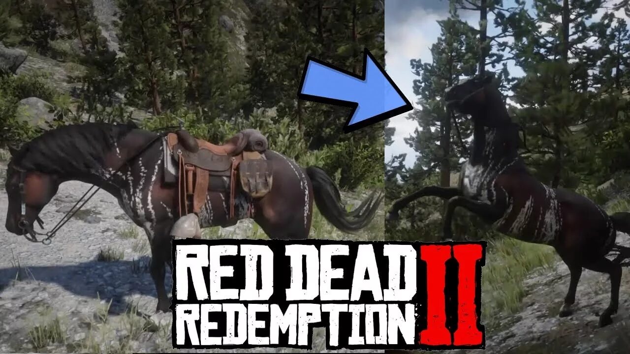 Red dead redemption 2 лучшая лошадь. Тигровая арабская лошадь в rdr2. red dead redemption 2 масти лошадей. red dead redemption 2 арабская лошадь. red dead redemption 2 арабский скакун.