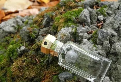 Запахло сырой землей