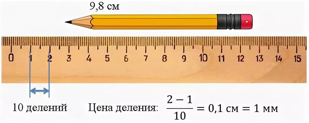 Как разделить линейка. Измерить цену деления линейки. цена деления линейки. определите цену деления линейки. линейка с делениями.